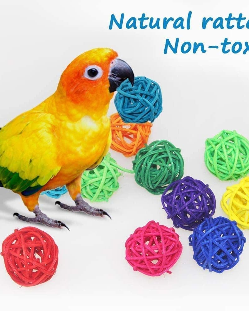 Wicker Balls, Bin and Trash Birds IQ Toy For Parrot and Parakeet IQ Toy