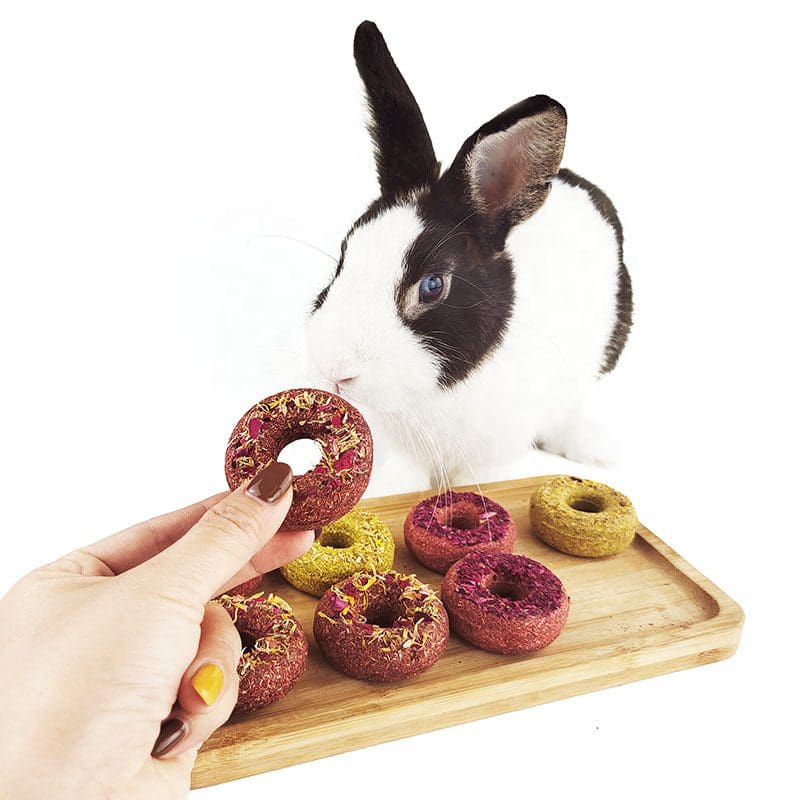 Donut With Flower Petals Treat For Rabbit, Hamsters, Guinea Pigs, Chinchillas & Small Rodents