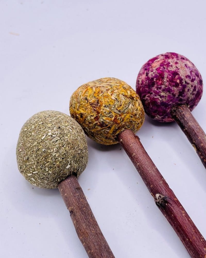 Timothy Hay Floral Grass Ball Lollipops Treat for Rabbit, Hamsters, Guinea Pigs, Chinchillas & Small Rodents.