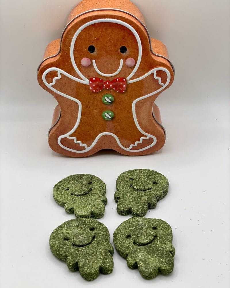 Timothy Hay Gingerbread Man Gift Box Treat For Rabbit, Hamsters, Guinea Pigs, Chinchillas & Small Rodents