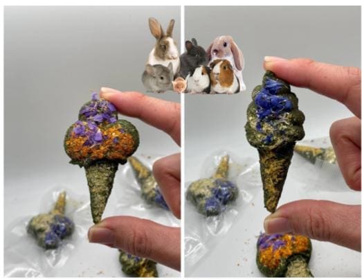 4 Pack Floral Ice Cream Cone Treats for Rabbits, Hamsters, Guinea Pigs, Chinchillas and Small Rodents.