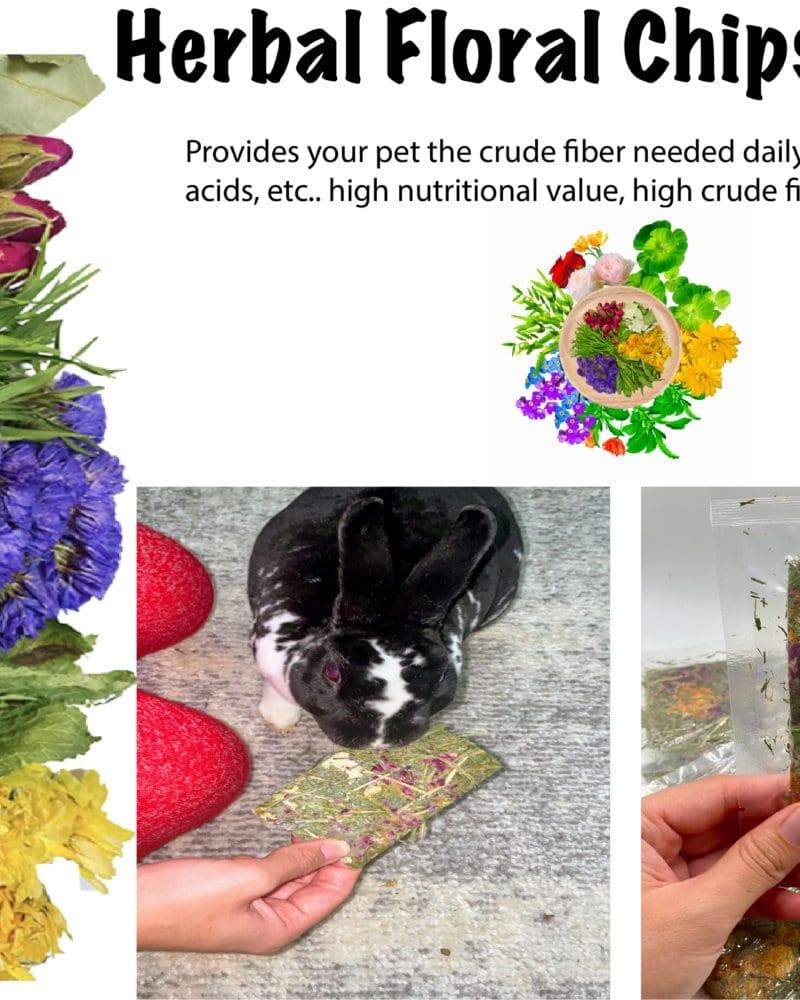 Rabbit and Small Animals Treat Petal Chips