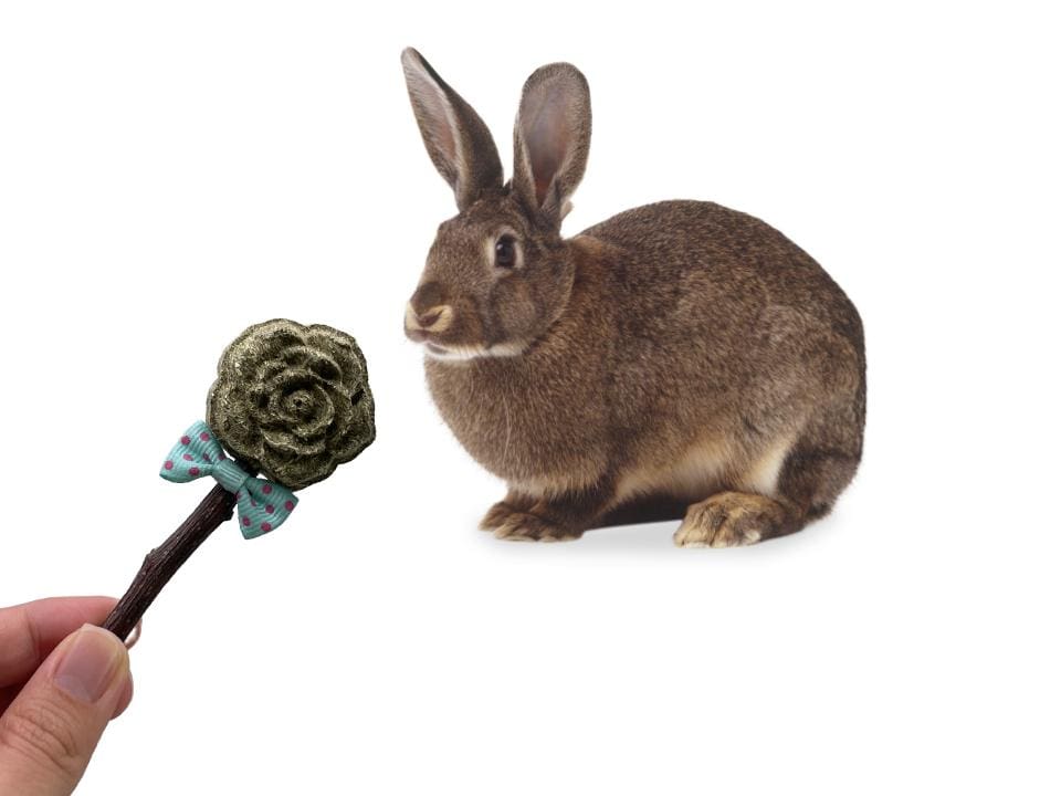 Timothy Hay Rose Lollipop and Apple Stick Treat For Rabbits, Hamsters, Guinea Pigs, Chinchillas, and Small Rodents