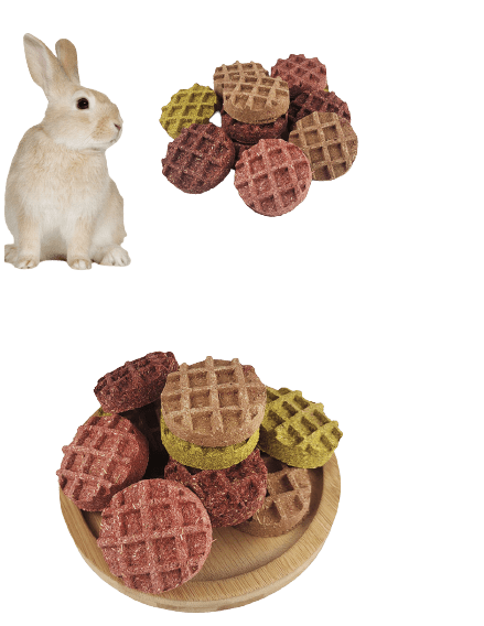 Timothy Hay Waffle Treats For Rabbit, Hamsters, Guinea Pigs, Chinchillas & Small Rodents