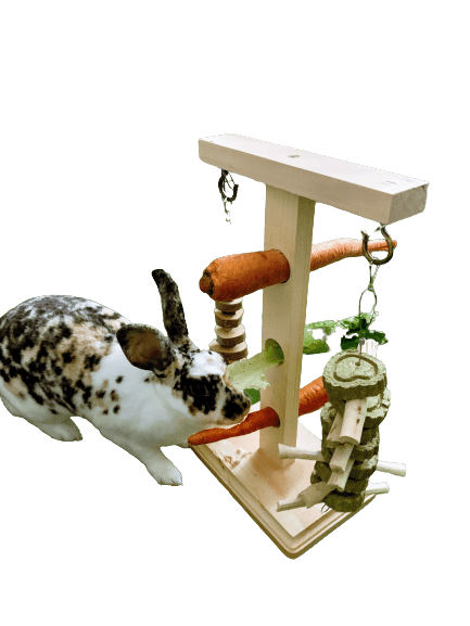 Vegetable, Fruit/Treat Tree Stand - For Bunny Rabbits, Chinchillas, Guinea Pigs, Hamsters and Ferrets