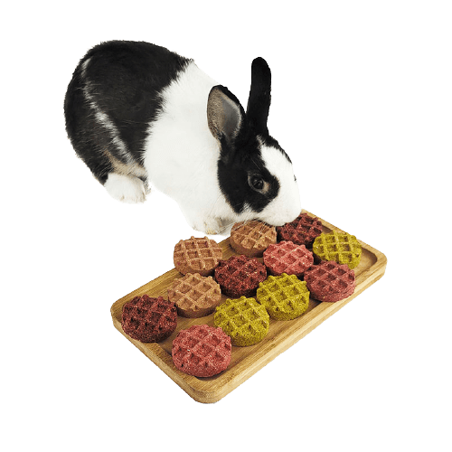 Waffle_Rabbit_and_Small_Animal_Treats