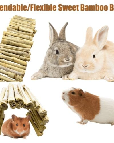 Sweet Dried Bamboo Bendable Bridge Treat and Chew Toy For Rabbits, Hamsters, Guinea Pigs, Chinchillas and Small Rodents.