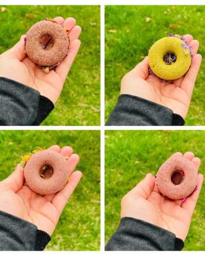 2" Donut With Flower Petal Hay Treat for Rabbit, Hamsters, Guinea Pigs, Chinchillas, and other Small Rodents.