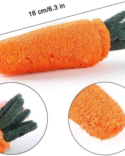 Rabbit Carrot Loofah and Chew Toy Treat For Rabbit, Hamsters, Guinea Pigs, Chinchillas & Small Rodents