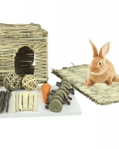 Woven Natural Seagrass and Dried Bamboo Bunny House for Rabbit, Ferrets, and Hamsters Grass House and Hideout, 10 PCS Bunny Chew Toys.