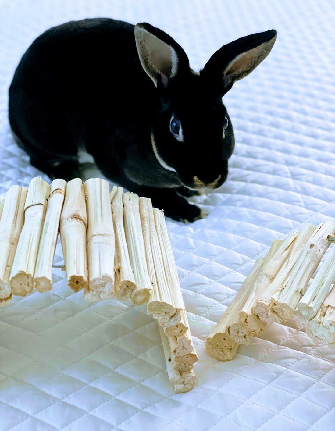 Sweet Dried Bamboo Bendable Bridge Treat and Chew Toy For Rabbits, Hamsters, Guinea Pigs, Chinchillas and Small Rodents