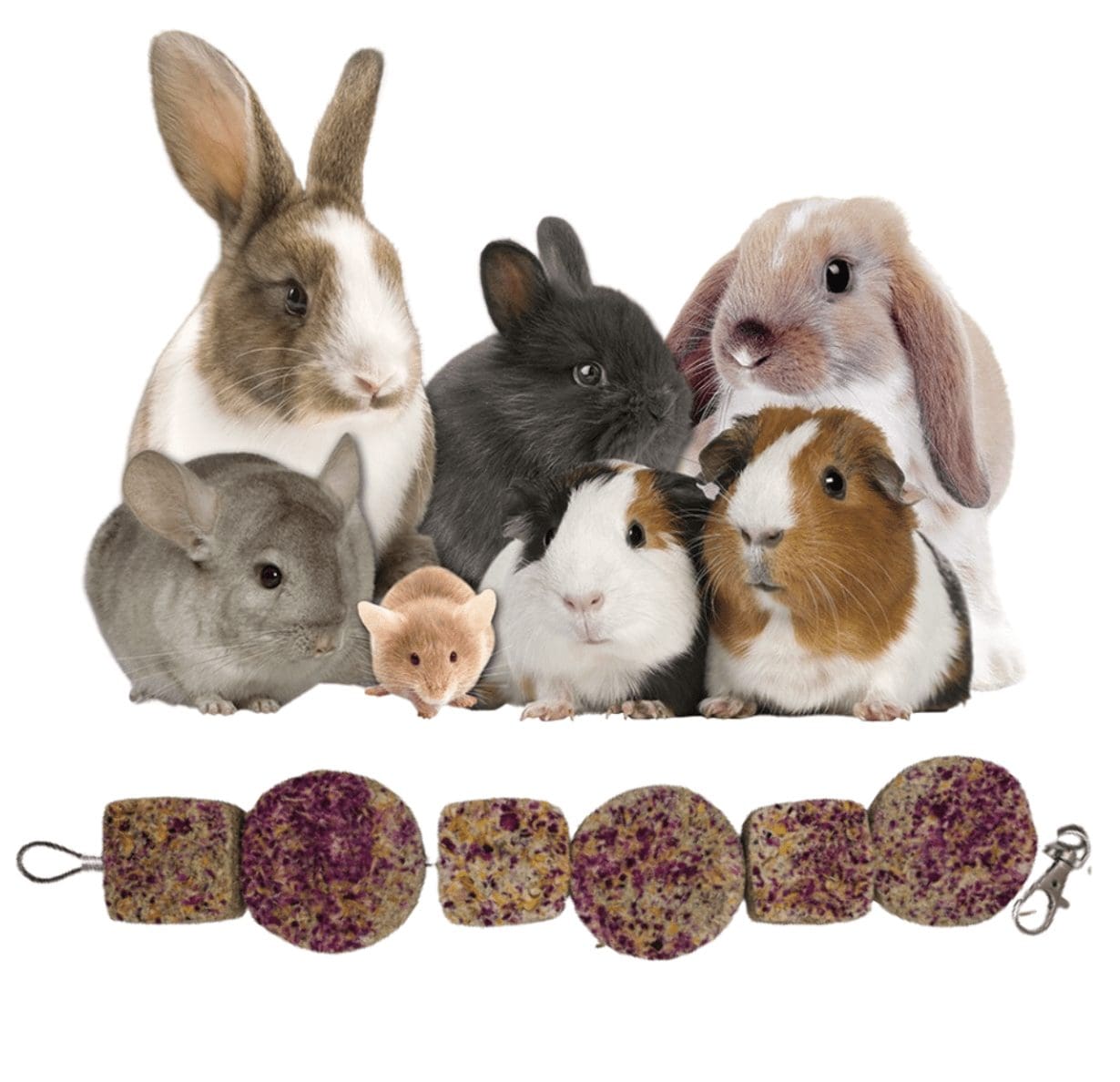 Timothy Hay Floral Grass Cube and Round Cakes Hanging Chew Treat For Rabbit, Hamsters, Guinea Pigs, Chinchillas & Small Rodents.