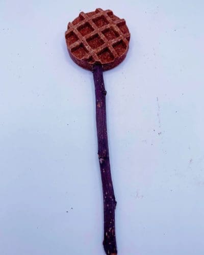 Waffle with Apple Stick Lollipop Treats For Rabbits, Hamsters, Guinea Pigs, Chinchillas, and Small Rodents