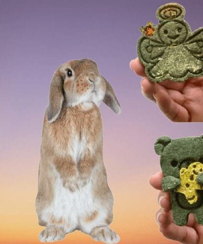 2 Pack TImothy Hay Teddy bear with Gingerbread Man and Angel Figure Treats for Rabbits, Chinchillas, Hamsters, Guinea Pigs and Small Rodents