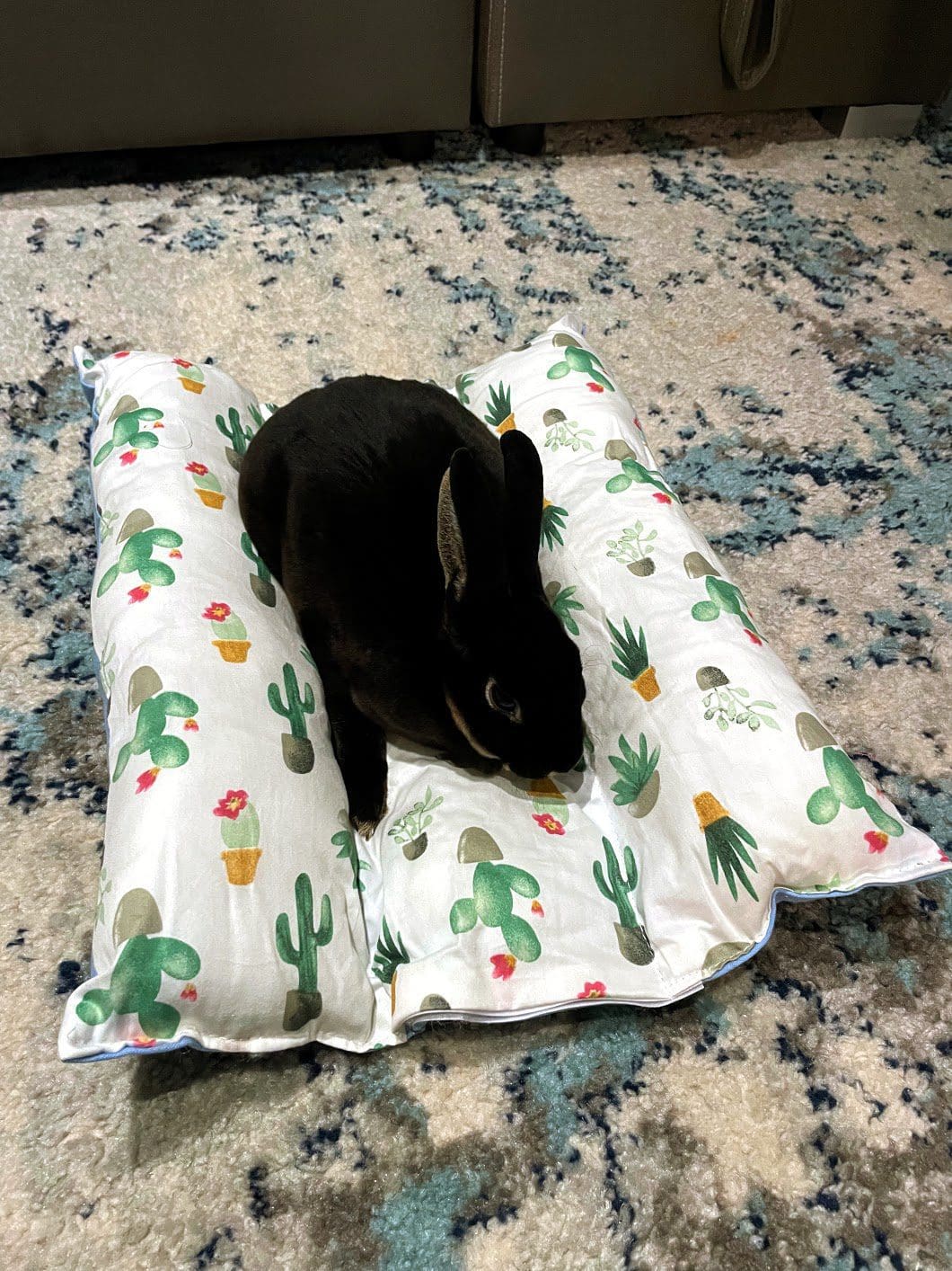 Bunny Flop Mat and Bed for Rabbits, Chinchillas, Guinea Pigs, Hamsters and other Small Animals