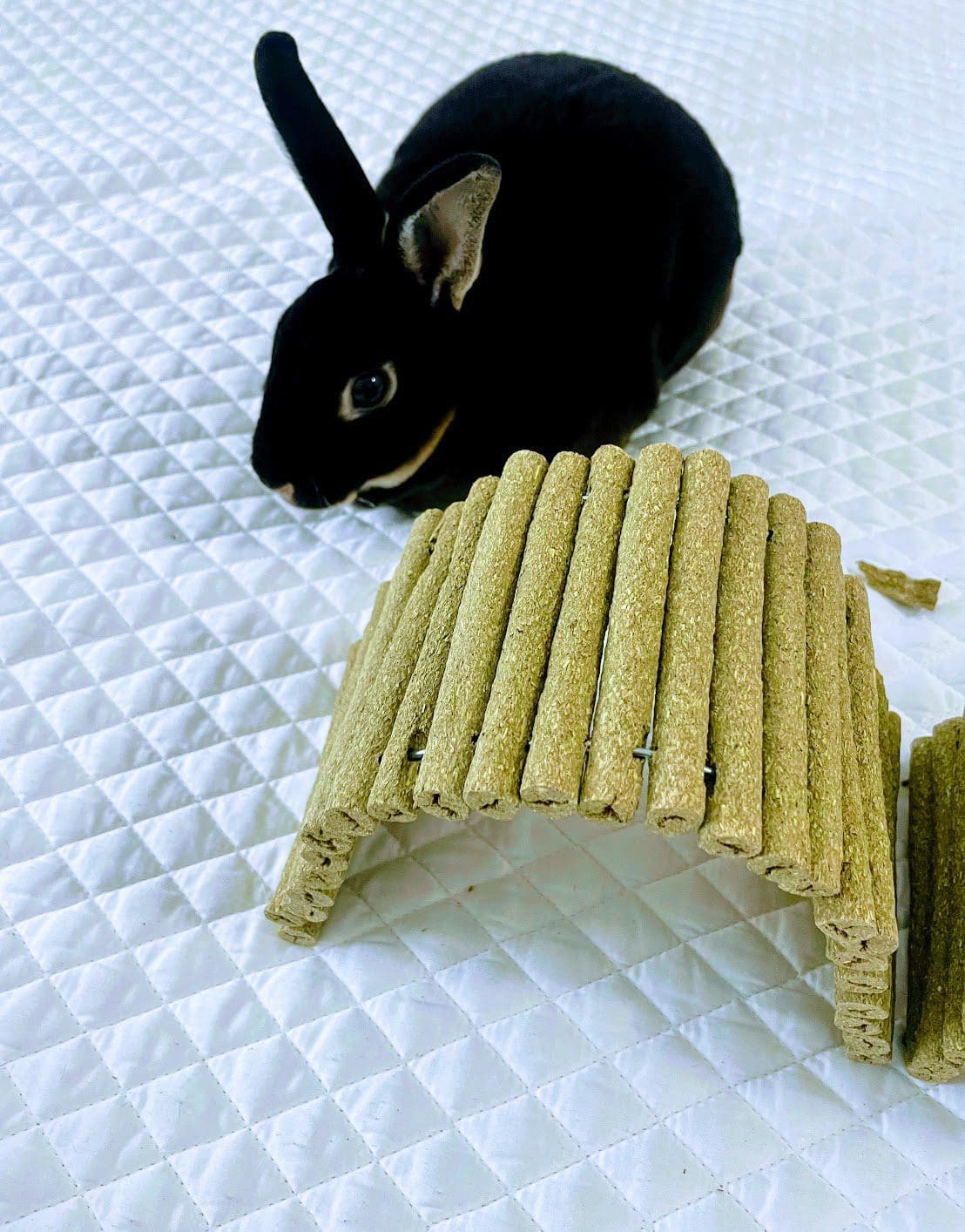 Hay Bendable Bridge Treat and Chew Toy For Rabbits, Hamsters, Guinea Pigs, Chinchillas and Small Rodents.