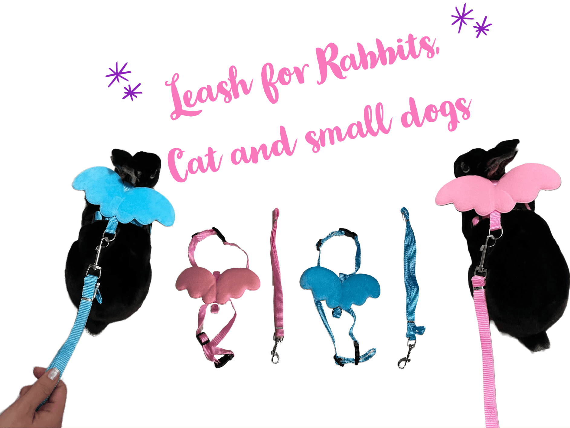 harness and leash for rabbits,cat and small dog.jpeg