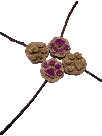 2 Pack Paw Print Timothy Hay Cakes Lollipop Rabbit Treat for Hamsters, Guinea Pigs, Chinchillas, and other Small Rodents.